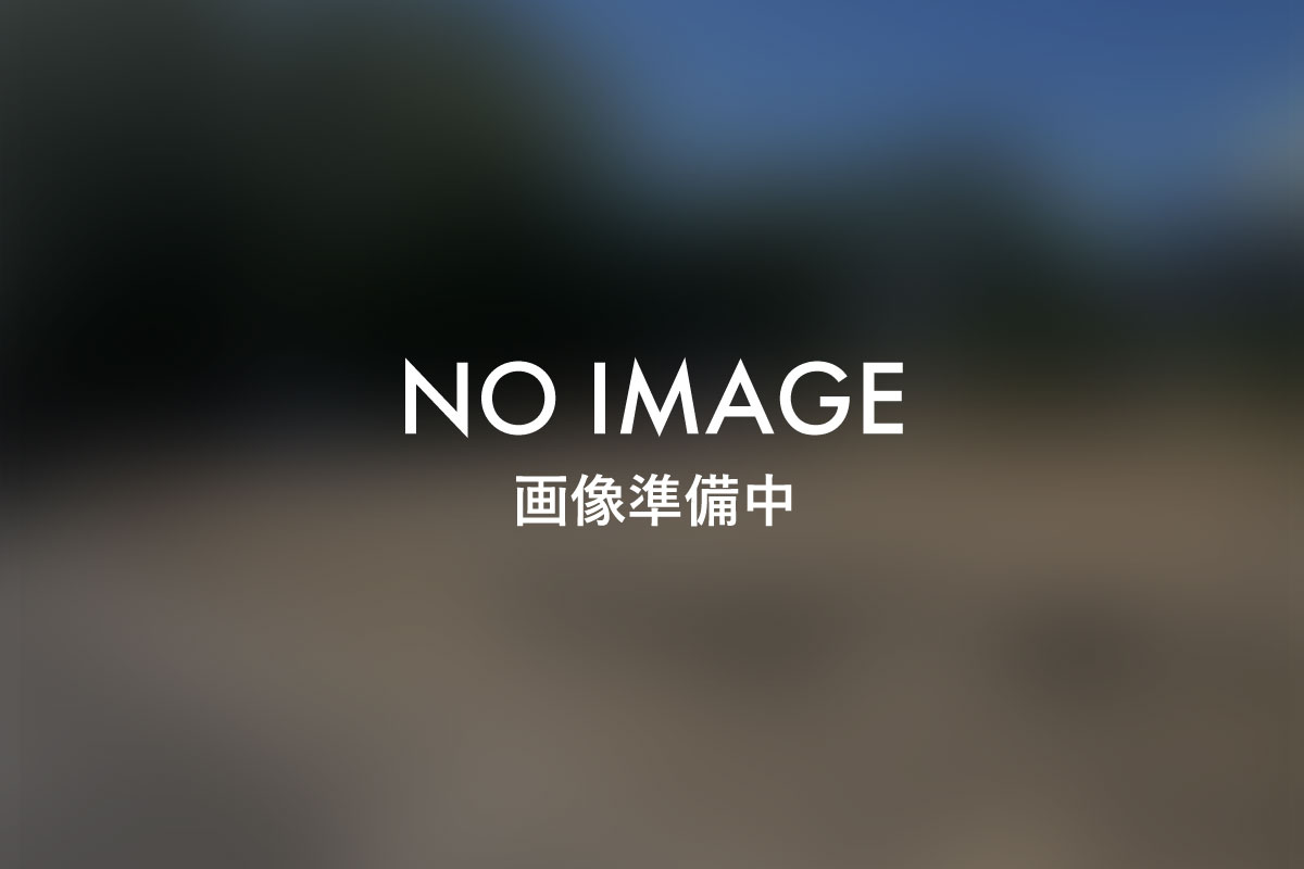 土地 NO IMAGE