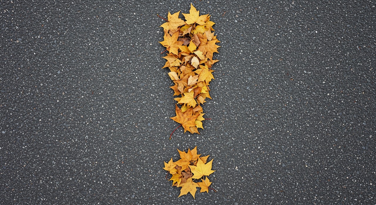 落ち葉で形作られた感嘆符