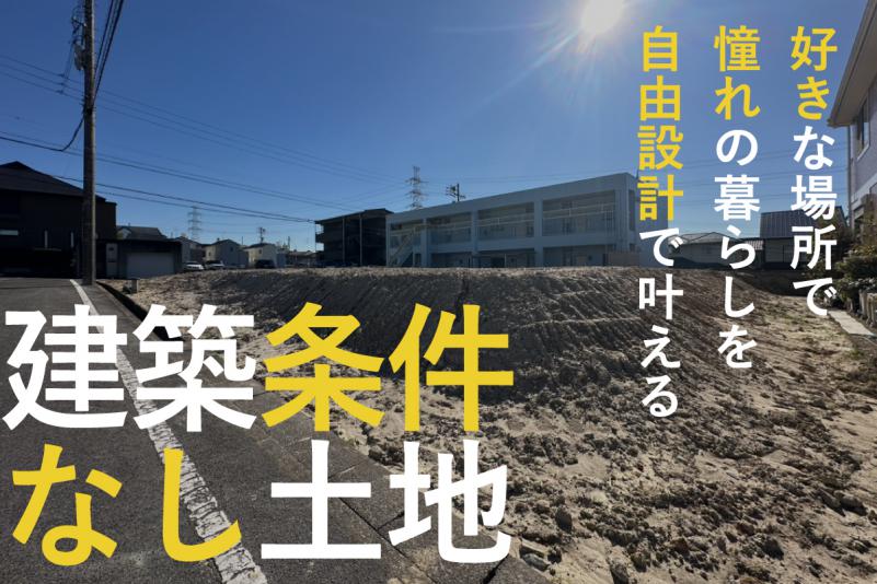 現地写真