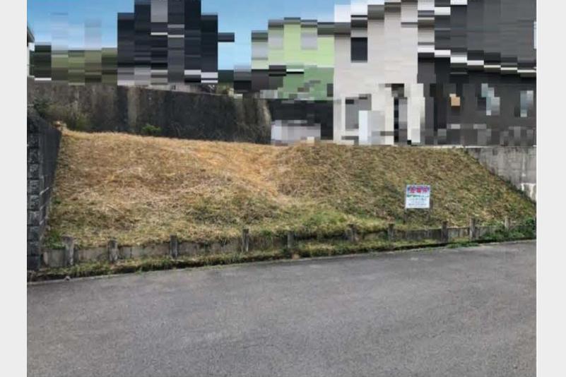 現地写真