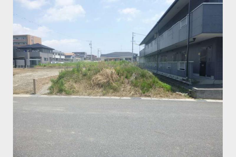 現地写真