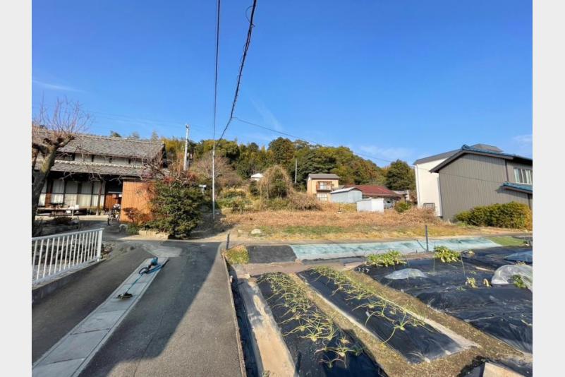 現地写真