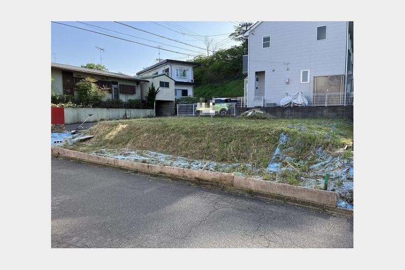 現地写真