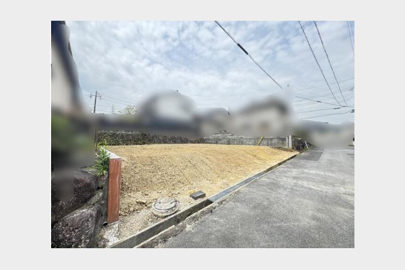 現地写真