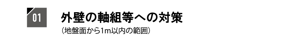 クオリティ11