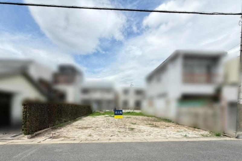 現地写真
